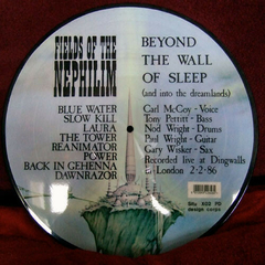 Fields Of The Nephilim – Beyond The Wall Of Sleep (And Into The Dreamlands) - buy online