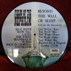 Fields Of The Nephilim – Beyond The Wall Of Sleep (And Into The Dreamlands) - comprar online