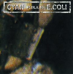 Cyan Kills E.Coli – Do Not Open