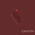 Lip Gloss Labial - Catharine Hill - comprar online