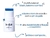 Ice Stick Multifuncional By Mayara Cardoso - Catharine Hill - comprar online