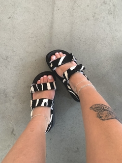 Brisa de zebra - comprar online