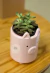 Maceta Chanchito - comprar online