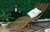 Reposera Catar - ALBA DESIGN