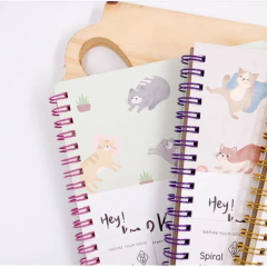 CADERNO FOFO PAUTADO GATINHOS - comprar online