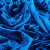 Chifon - Azul Francia - comprar online