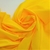 Batista - Amarillo