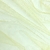 Tul Liso - Beige en internet