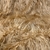 Piel de Cabra - Camel - comprar online