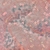 Lentejuelas Bordadas - Coral Tornasol - comprar online