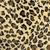 Piel Pelo Corto - Estampada - Leopardo Beige