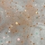 Microtul Con Lentejuelas Y Perlas - Salmon - comprar online