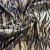Jersey Engomado Estampado - Tigre - comprar online