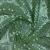 Falso Paillete - Verde Lima - comprar online
