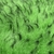 Piel Francesa con Mechas - Verde Manzana y Negro - tienda online