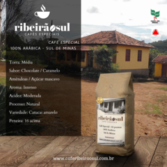 Café Especial Ribeirão Sul Memorial 500g Arábica Sul de Minas na internet