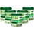 Kit com 5 - Matcha - Termo Fit - Chá Instantâneo - Sabor Limão - 220g - Unilife