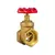 Válvula gaveta 3/4" PN16 com registro bruto da marca Segurimax.