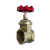 Valvula Gaveta 2.1/2" Registro Bruto Segurimax