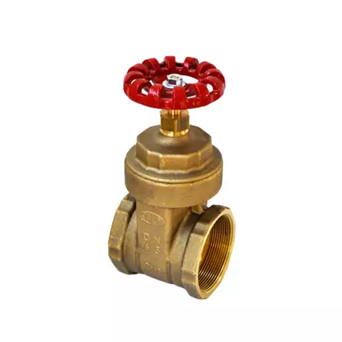 Válvula Gaveta 2.1/2"