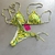 PACK 3 bikinis - Esmeralda