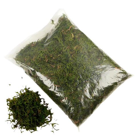 Musgo natural (EN BOLSA TRANSPARENTE 25 x 30 CM) - comprar online