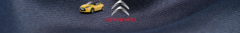 Banner da categoria Citroen