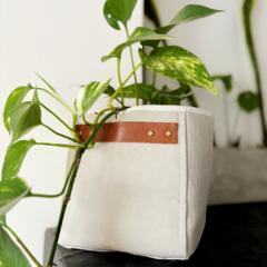 Contenedor cuadrado gris perla 18x18x18 en internet