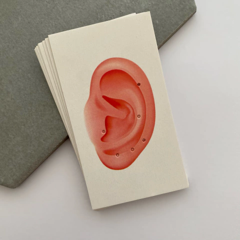 Kit Cartela Expositor - Orelha