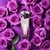 Fracionado 2ml Trésor Midnight Rose Lancôme Eau de Parfum Feminino - Aromas Casa Gente Grande