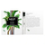 Flaconete 1,5ml NEST New York Balinese Coconut Perfume Oil Feminino - comprar online