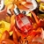 Fracionado 2ml Flowerbomb Tiger Lily Viktor & Rolf Eau de Parfum Feminino na internet
