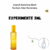 Fracionado 5ml Grand Bahama Skelt Parfum Feminino