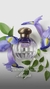 Imagem do Fracionado 10ml Maya Tocca Eau de Parfum Feminino