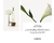 Imagem do Fracionado 5ml L'Eau d'Issey Issey Miyake Eau de Toilette Feminino