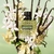 10ml Travel Size Valentino Donna Born in Roma Green Stravaganza Eau de Parfum Feminino - loja online