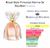 Fracionado 2ml Marina de Bourbon Royal Style Eau de Parfum Perfume Feminino - comprar online