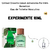Fracionado 10ml United Dreams Green Amazonia For Him Benetton Eau de Toilette Masculino