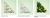 Fracionado 5ml Paradoxe Virtual Flower Prada Eau de Parfum Feminino - loja online