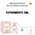 Fracionado 2ml Kate Spade New York Bloom Eau de Parfum Feminino