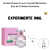 Fracionado 10ml United Dreams Love Yourself Benetton Eau de Toilette Feminino