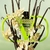 10ml Travel Size Valentino Donna Born in Roma Green Stravaganza Eau de Parfum Feminino