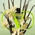 Fracionado 5ml Born in Roma Green Stravaganza Valentino Donna Eau de Parfum Feminino - loja online