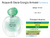 Fracionado 2ml Acqua di Gioia Giorgio Armani Eau de Parfum Perfume Feminino - comprar online