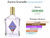 Fracionado 10ml Aurora Granado Eau de Toilette Unissex - comprar online
