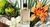 Fracionado 5ml Libre Flowers & Flames Yves Saint Laurent Eau de Parfum Feminino - comprar online