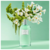 Fracionado 2ml N°3 Iris Luminoso Victorio & Lucchino Eau de Toilette Perfume Feminino
