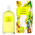 Fracionado 2ml N°18 Vitamina C.Ítrica Victorio & Lucchino Eau de Toilette Perfume Feminino - Aromas Casa Gente Grande