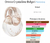 Fracionado 2ml Omnia Crystalline Bvlgari Eau de Toilette Feminino - comprar online