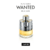 50ml Wanted Azzaro Eau de Toilette Masculino - Aromas Casa Gente Grande